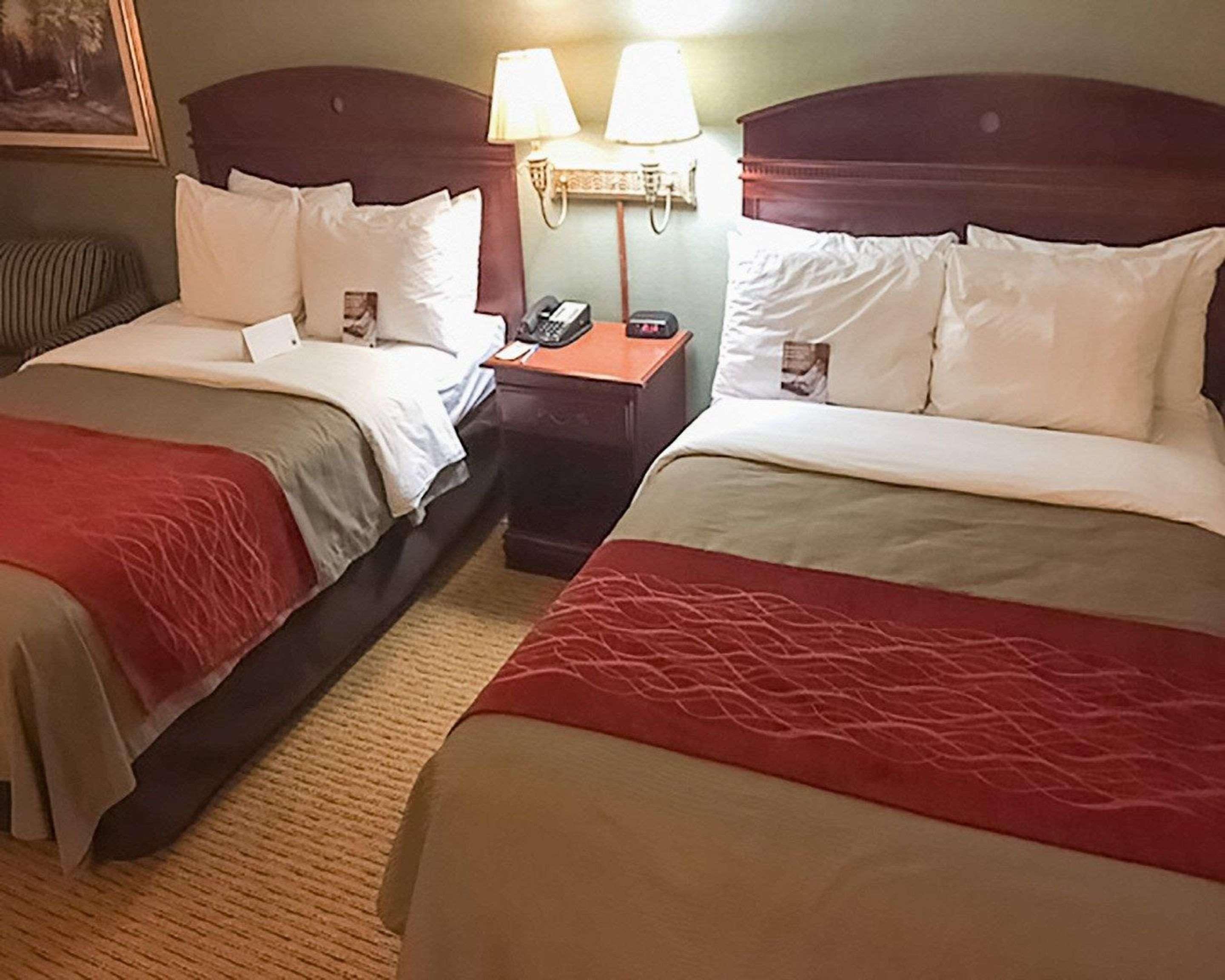 Comfort Inn Springfield Eksteriør billede